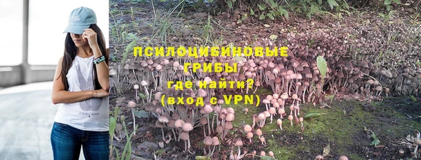гидропоника Гусь-Хрустальный