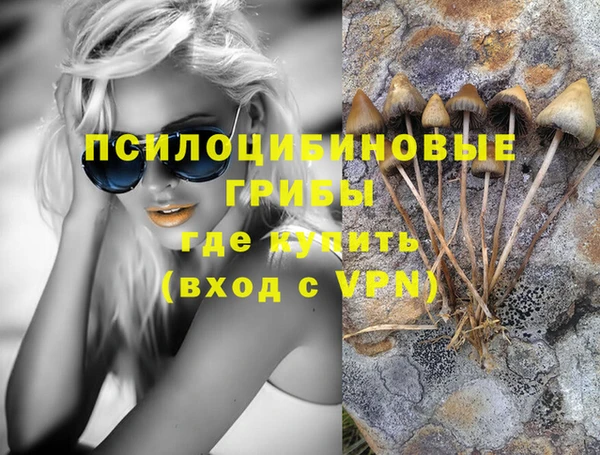 не бодяженный Гусев