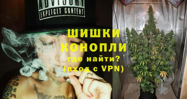 не бодяженный Гусев