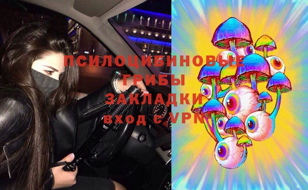 не бодяженный Гусев