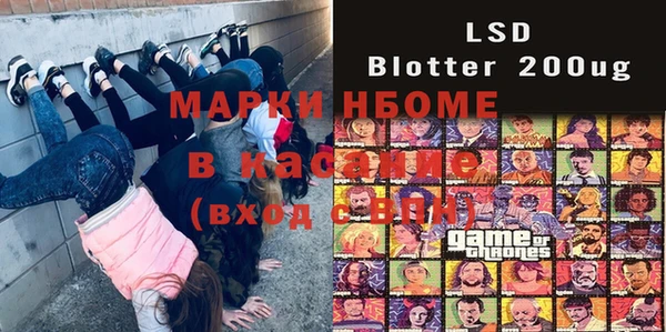 гидропоника Гусь-Хрустальный