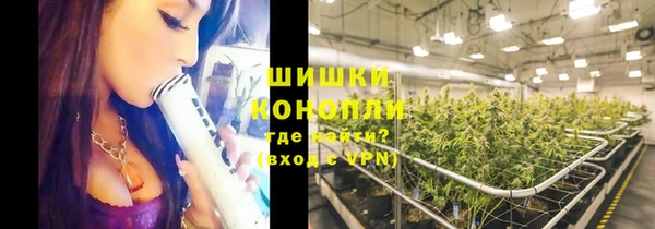гидропоника Гусь-Хрустальный