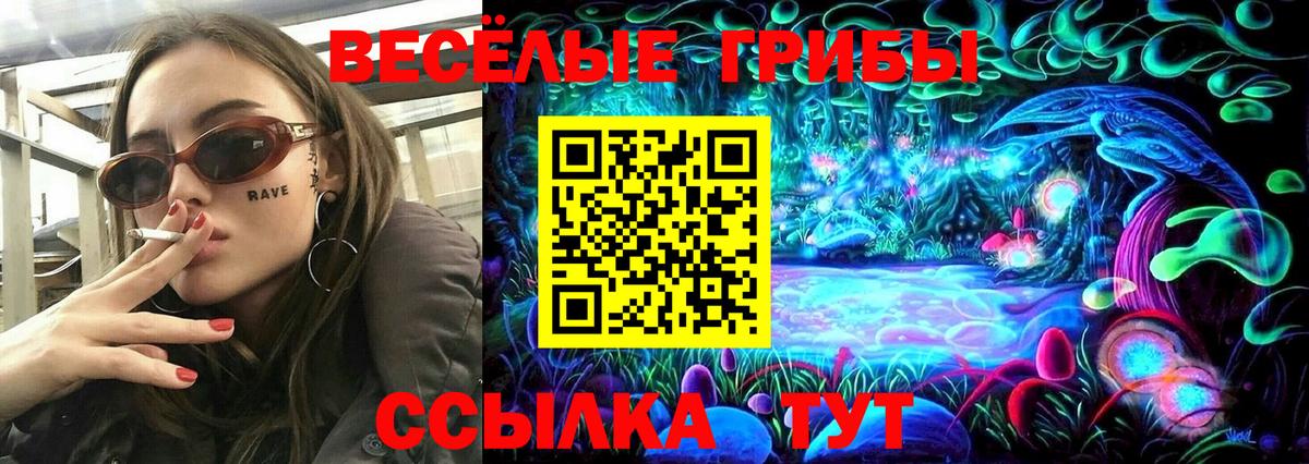 Зеленогорск  Галлюциногенные грибы MAGIC MUSHROOMS  Вход с VPN 