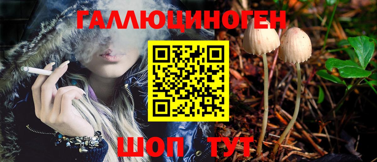 закладки  Зеленогорск  Галлюциногенные грибы Cubensis 